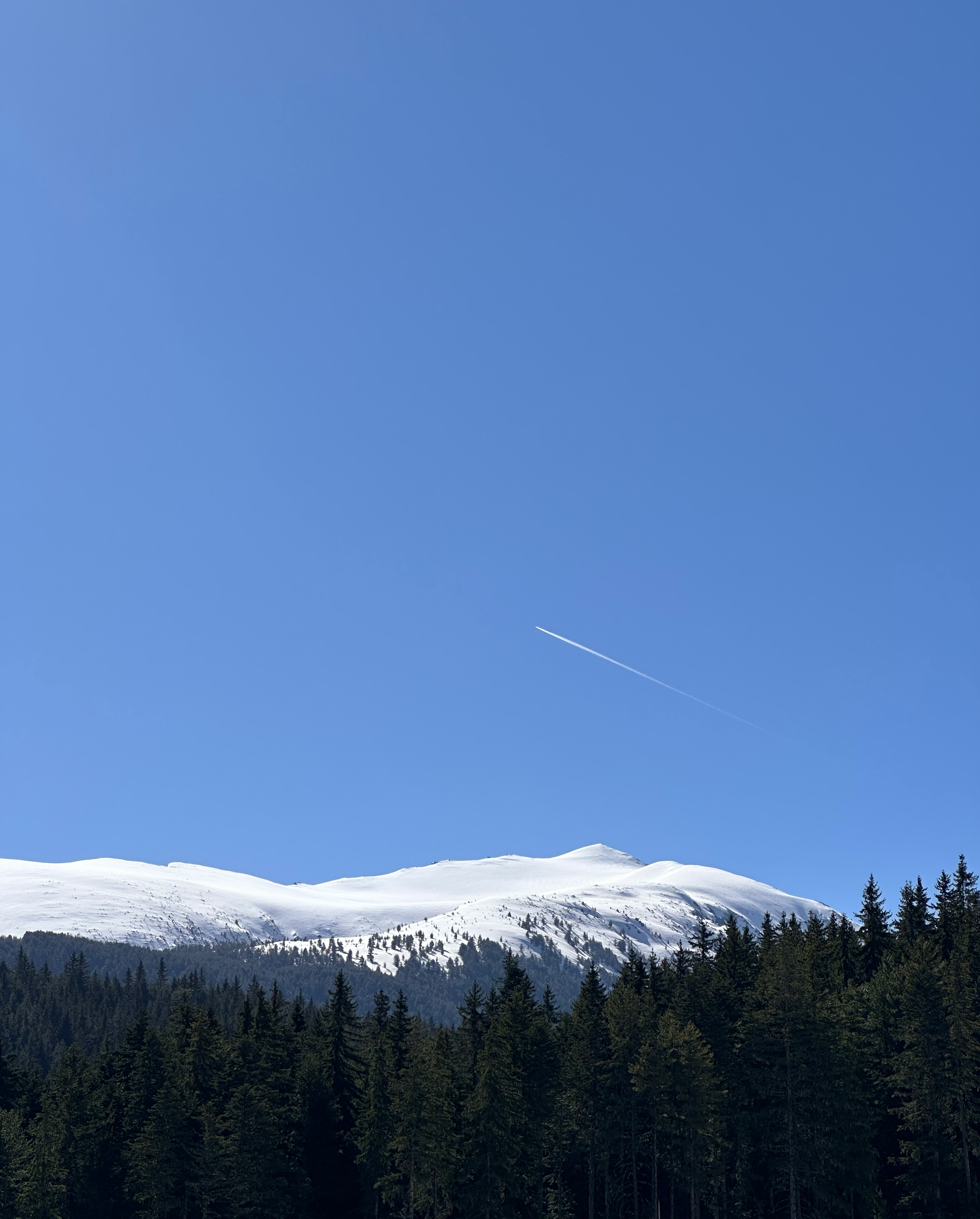 Bulgaria 2026 Trip - Photo 5