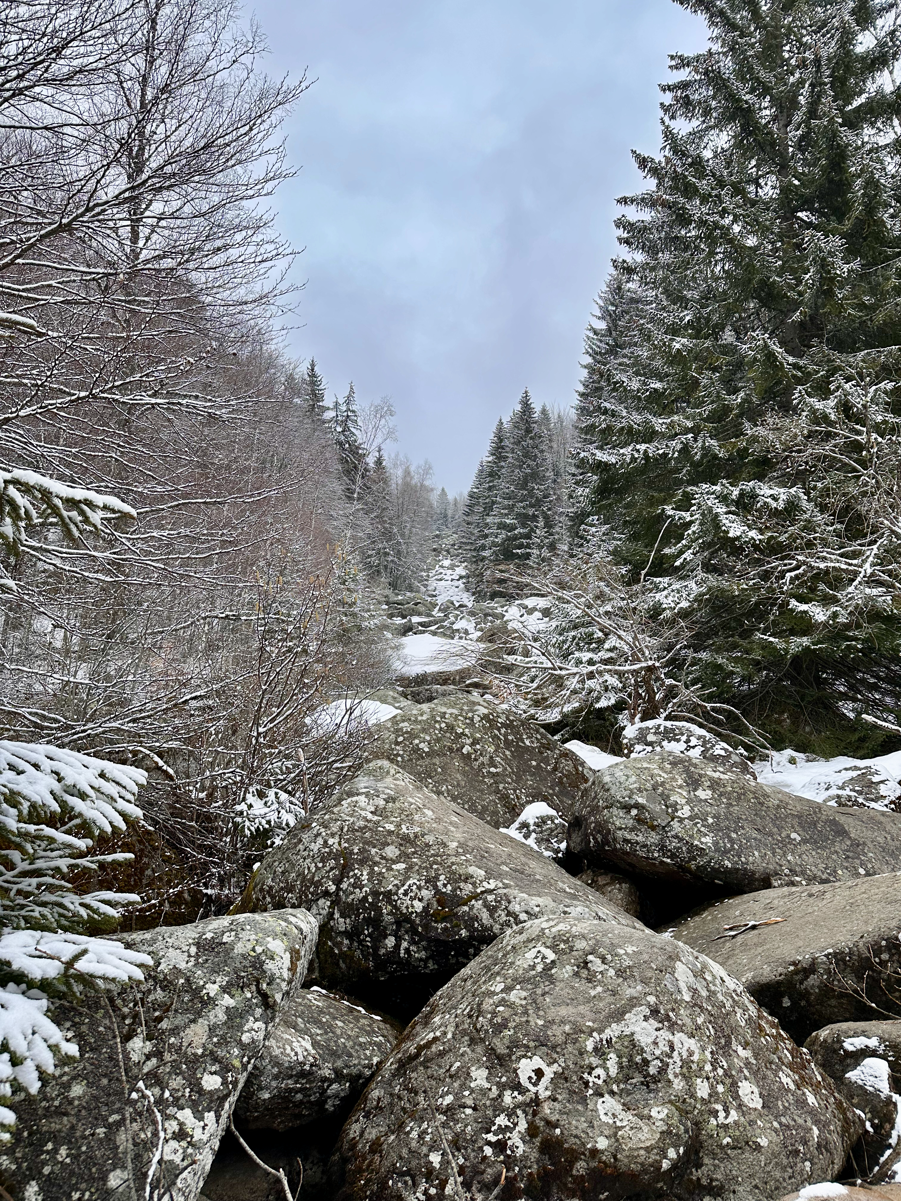 Bulgaria 2026 Trip - Photo 10