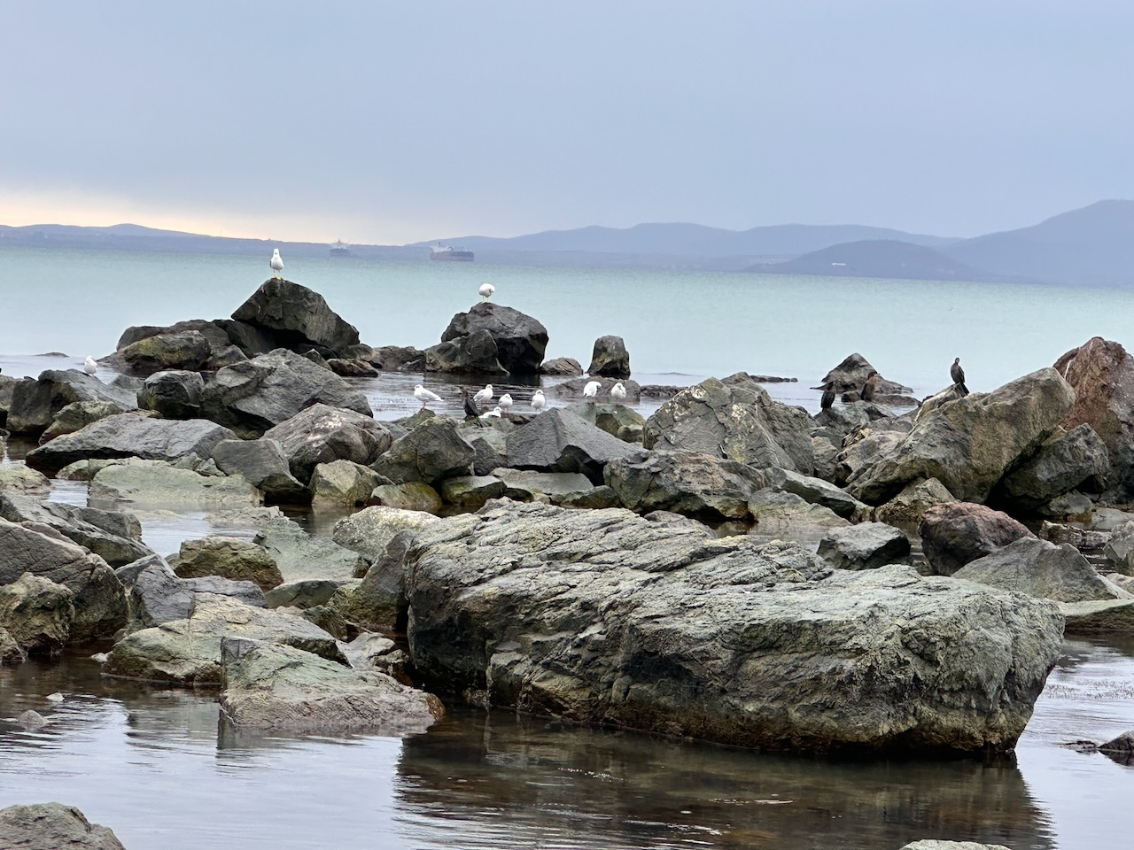 Bulgaria 2026 Trip - Photo 14
