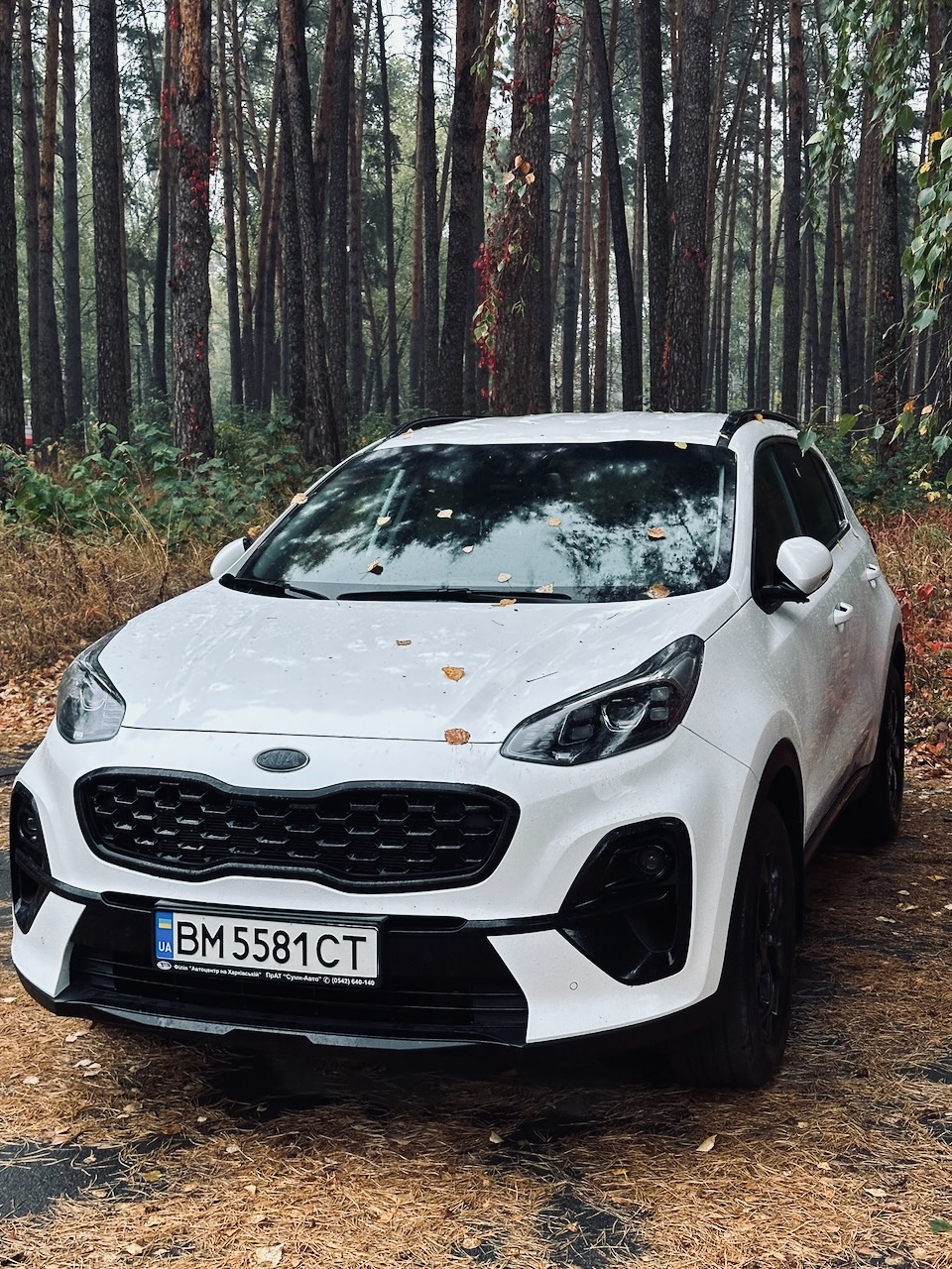 First and Second Car - Photo 12